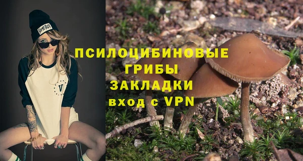 сатива Волоколамск