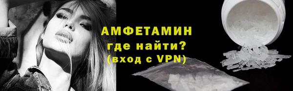 сатива Волоколамск