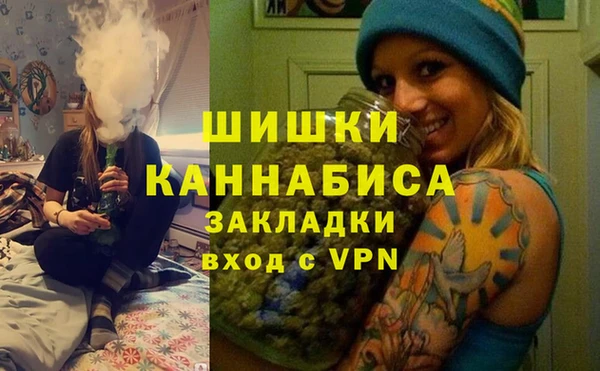 сатива Волоколамск