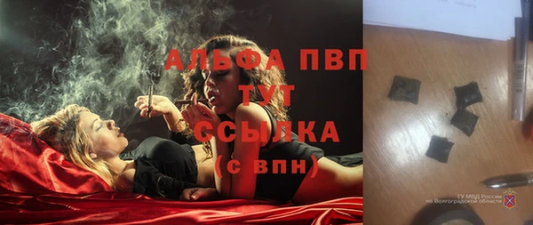 сатива Волоколамск
